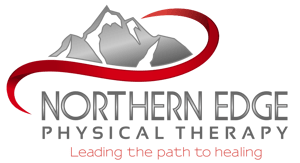 Northern Edge Logo.png