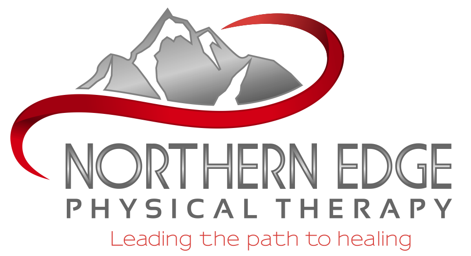 Northern Edge Logo